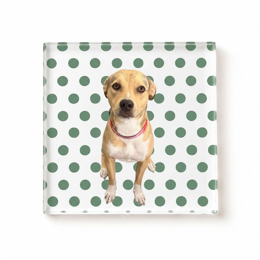 Pet Coaster with Polka Dots