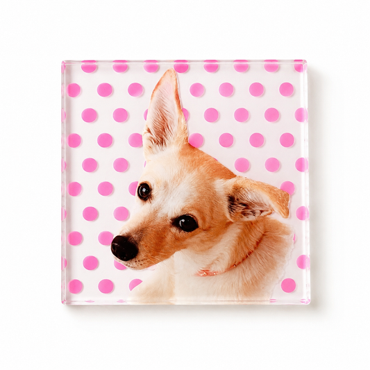 Pet Coaster with Polka Dots