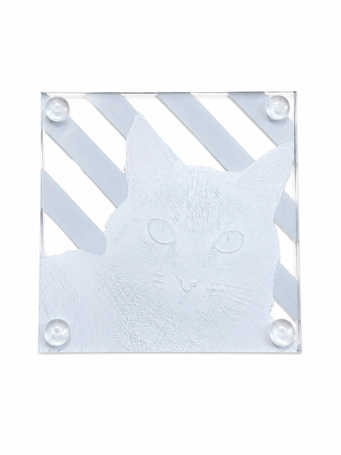 Pet Coaster with Stripes