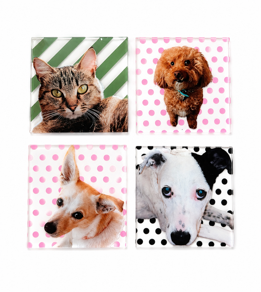 Mixed 4 Pack Pet Coasters