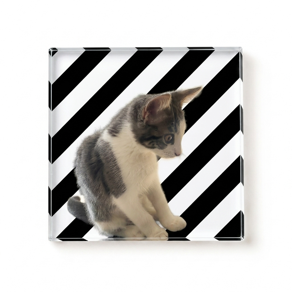 Pet Coaster with Stripes