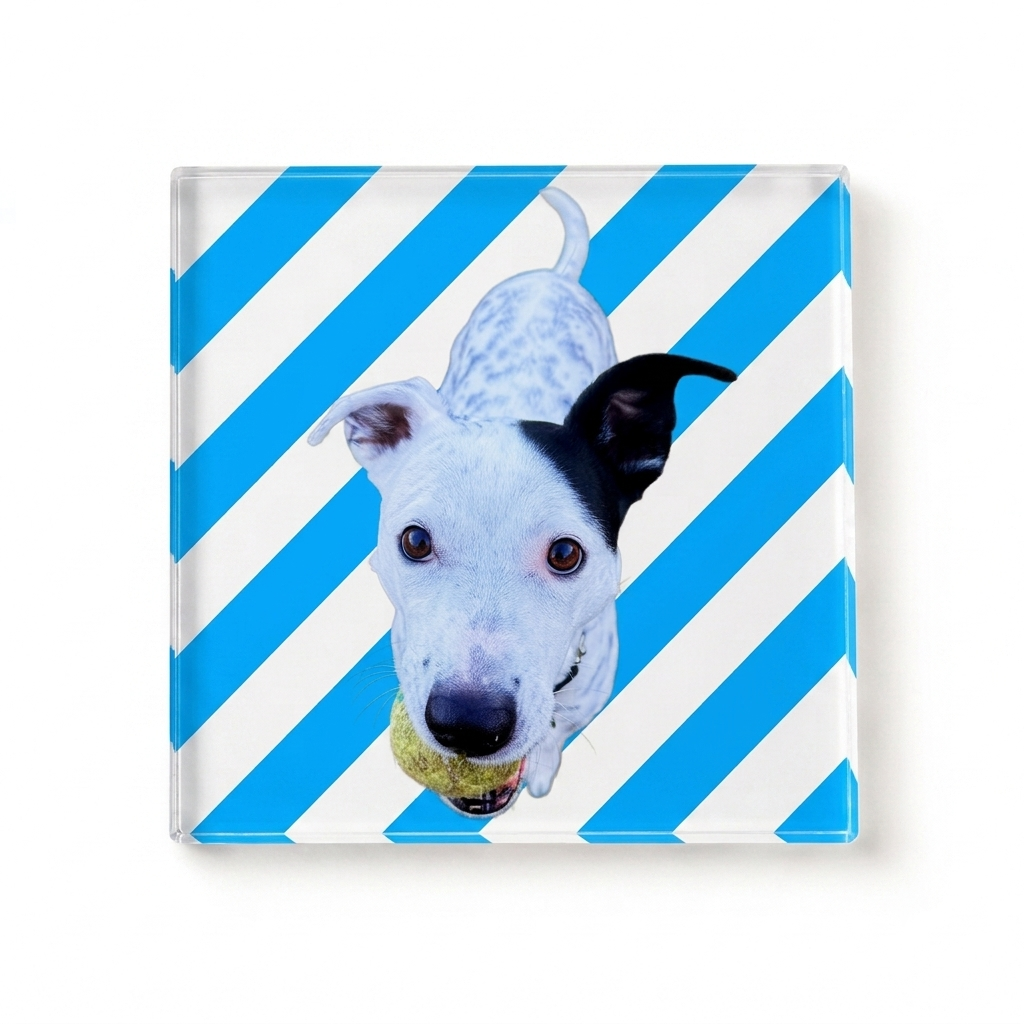 Pet Coaster with Stripes