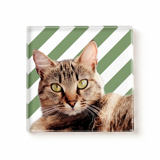 Pet Coaster with Stripes